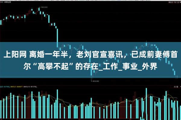 上阳网 离婚一年半，老刘官宣喜讯，已成前妻傅首尔“高攀不起”的存在_工作_事业_外界