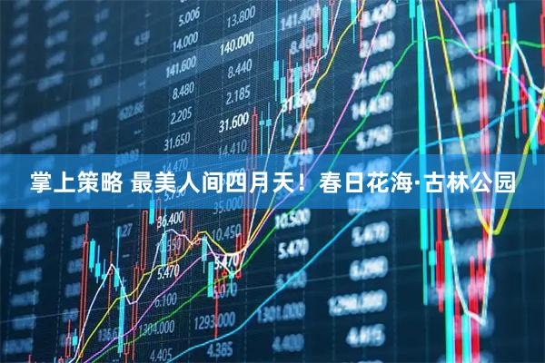 掌上策略 最美人间四月天！春日花海·古林公园